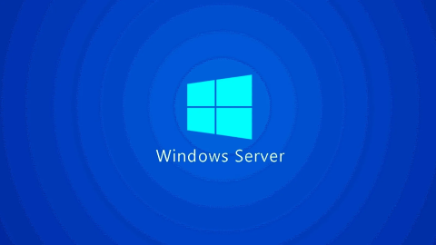 Microsoft releases first Windows Server 2025 preview build