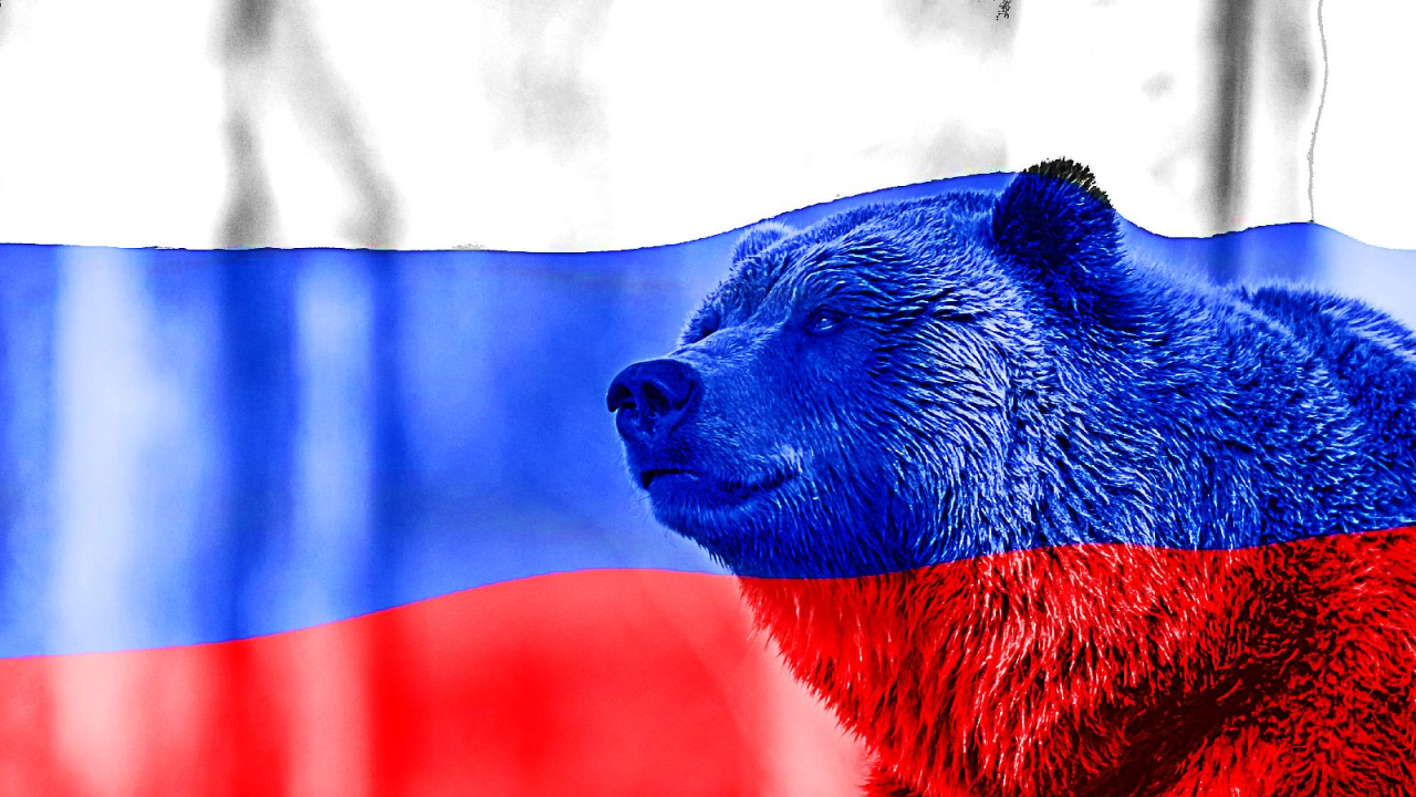 Russia__bear